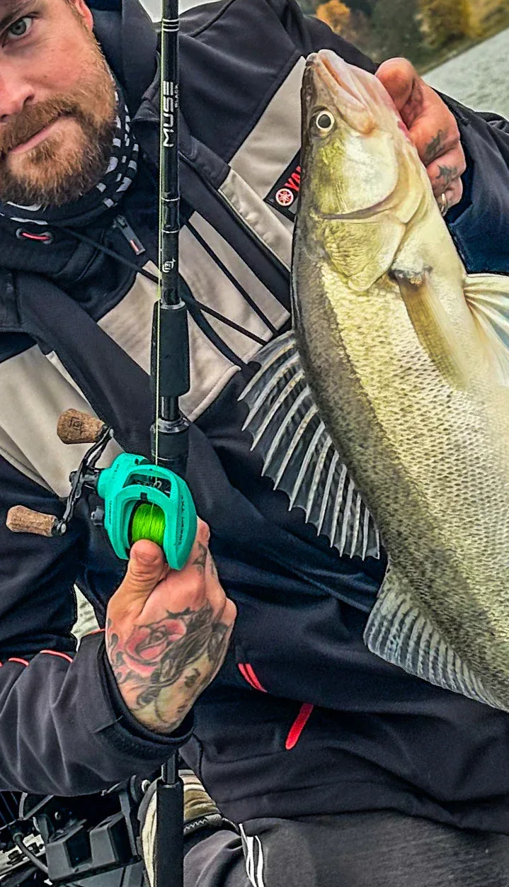 13 Fishing Muse Black haspelspö - Image 8