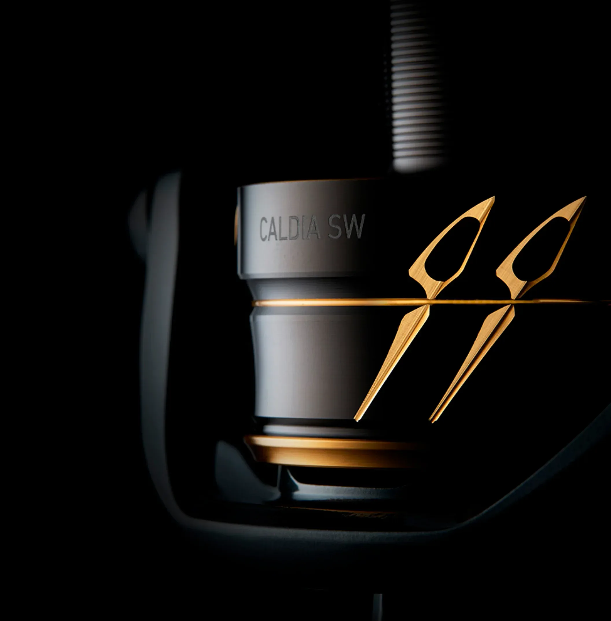 Daiwa 22 Caldia SW haspelrulle - Image 3