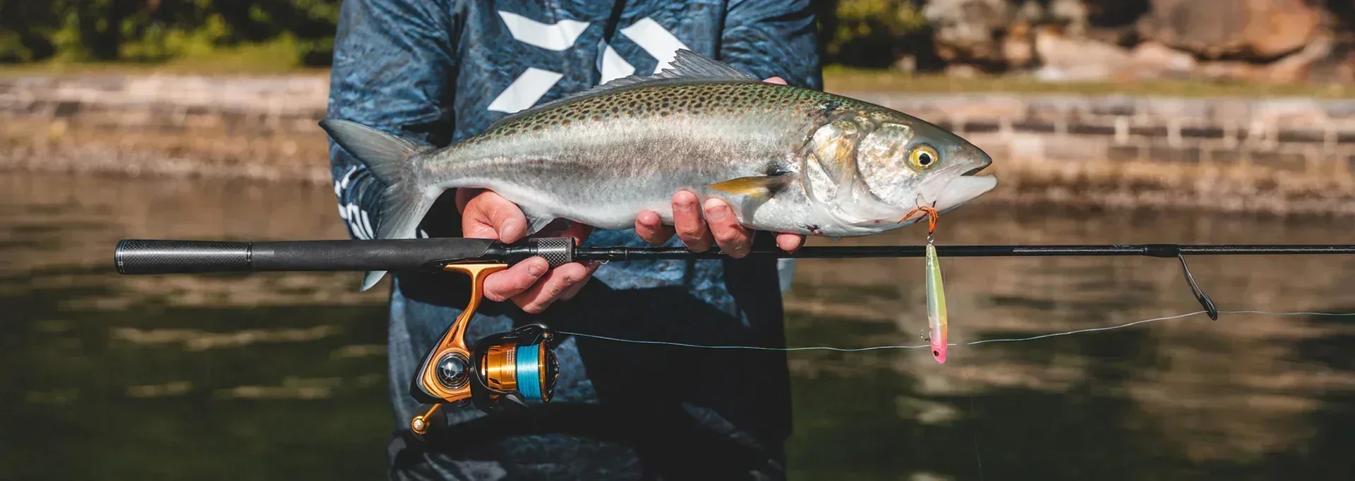 Daiwa 23 Aird LT haspelrulle - Image 13