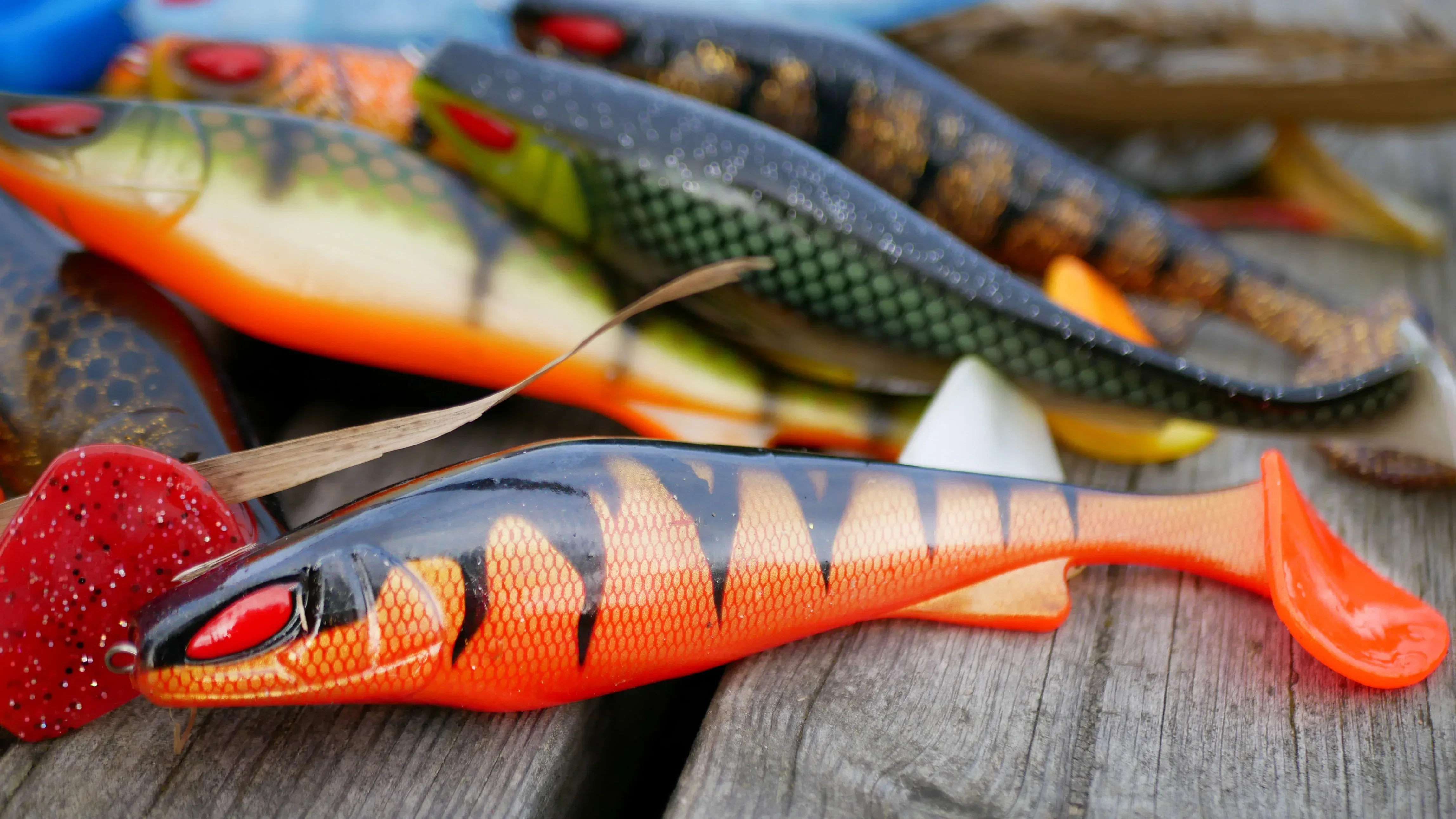 Daiwa Prorex Lazy Shad 20 cm - Image 3