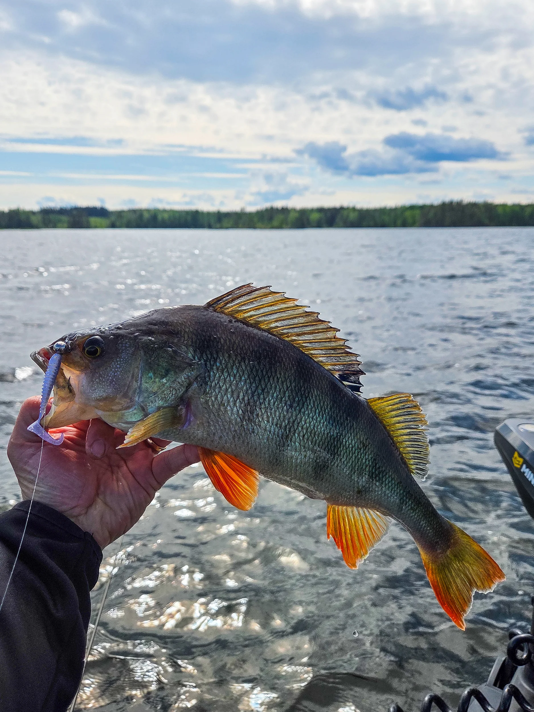 Kuore Reaper 5,5 cm jigg 4 st/pkt - Image 6