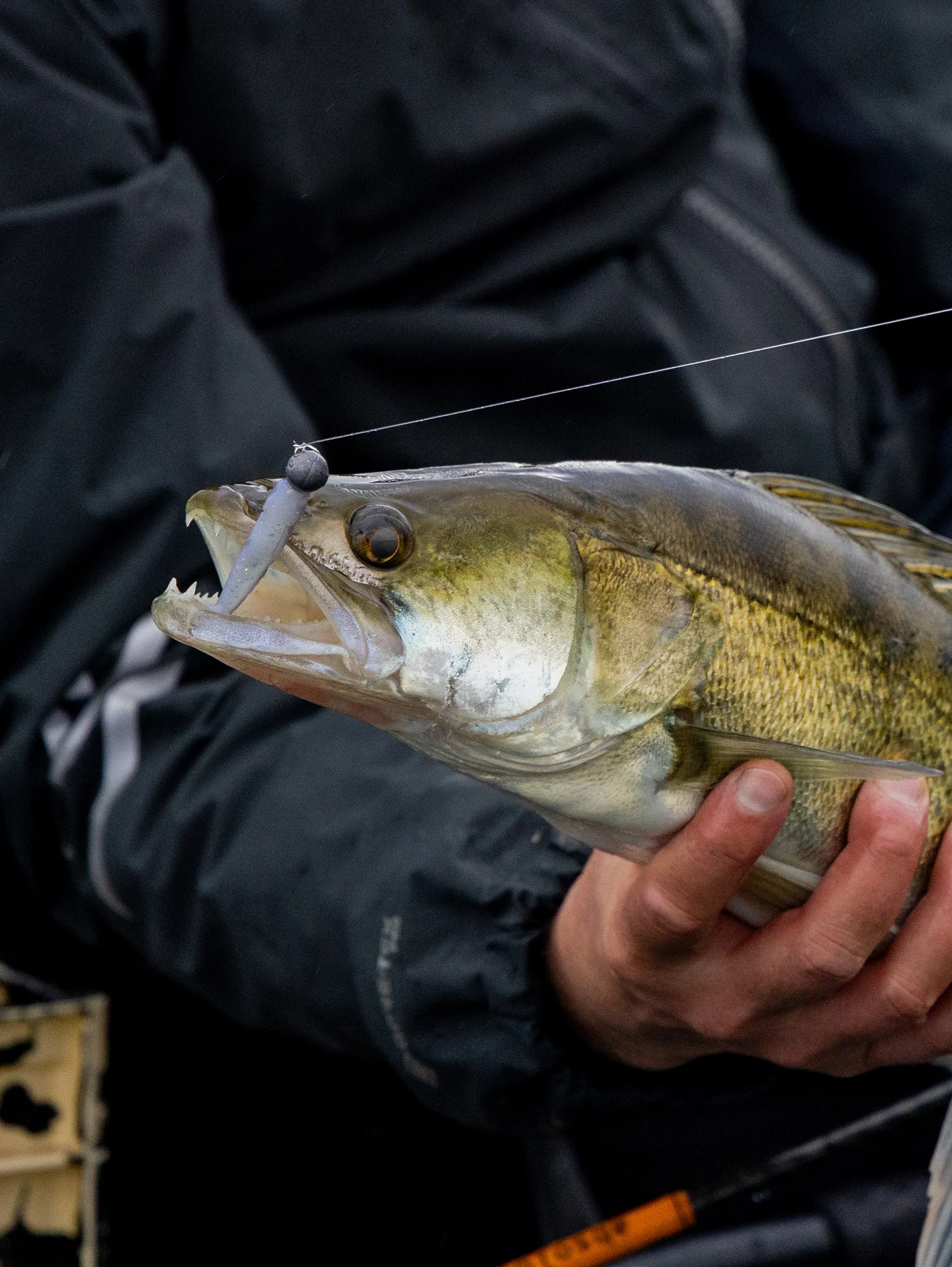 Kuore Torpedo 7 cm jigg 4 st/pkt - Image 3