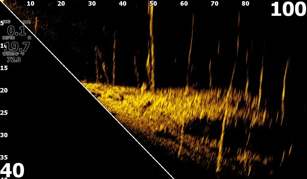 Lowrance Eagle Eye 9 Live kombienhet med live-givare - Image 22