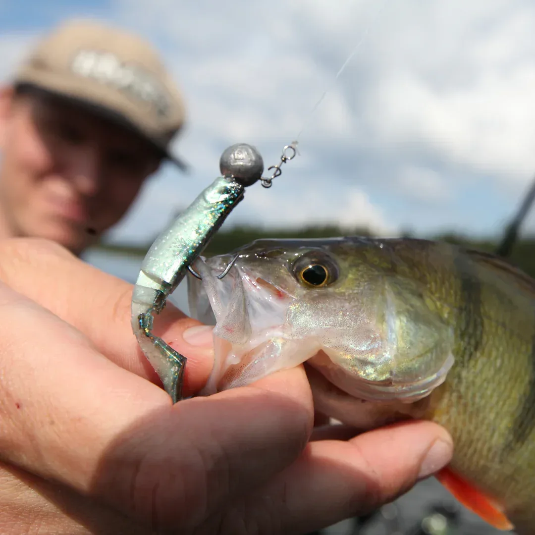 Mikado Fishunter 5 cm jigg 5 st/pkt - Image 2