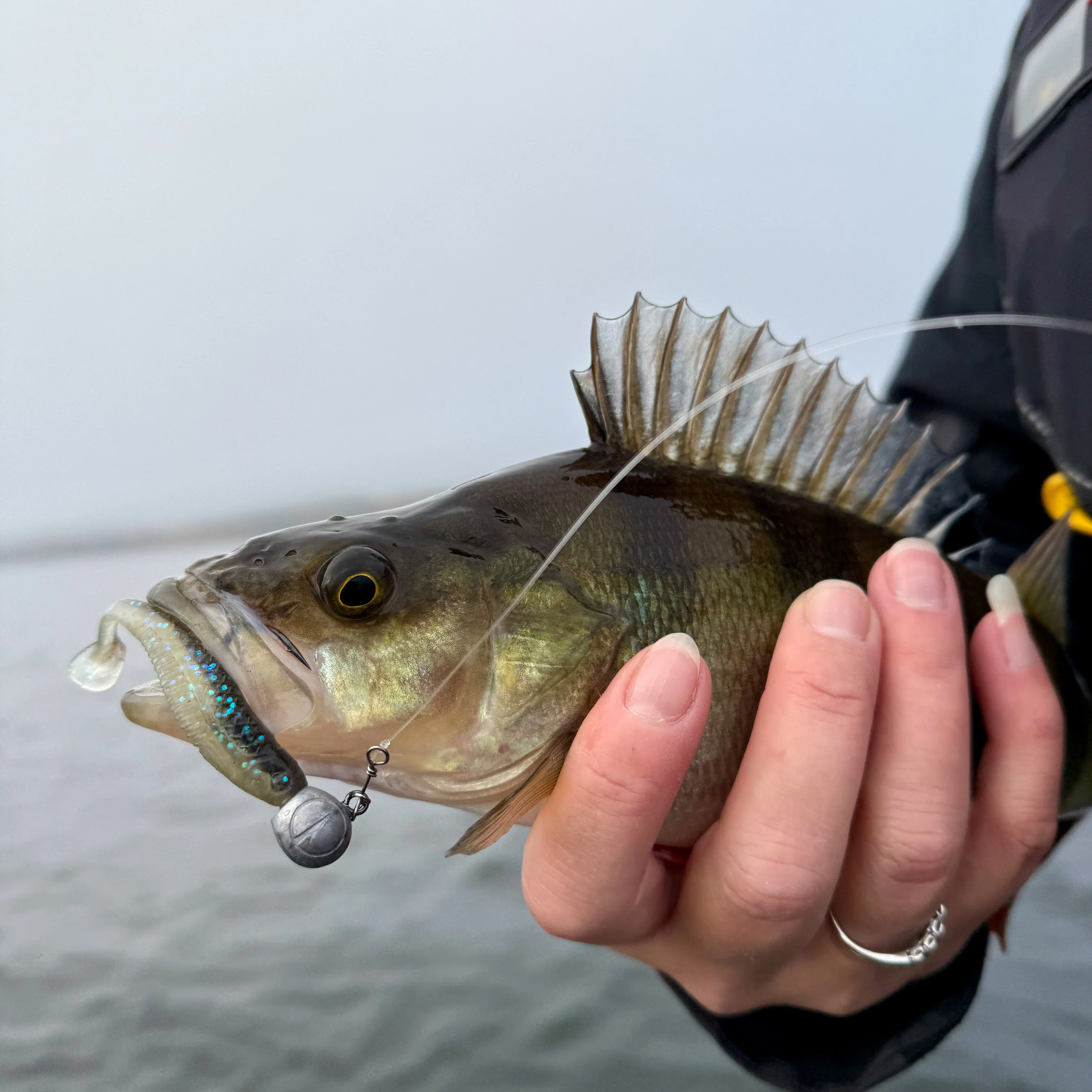 Rapala CrushCity The Jerk 18 cm jigg 3 st/pkt - Image 6