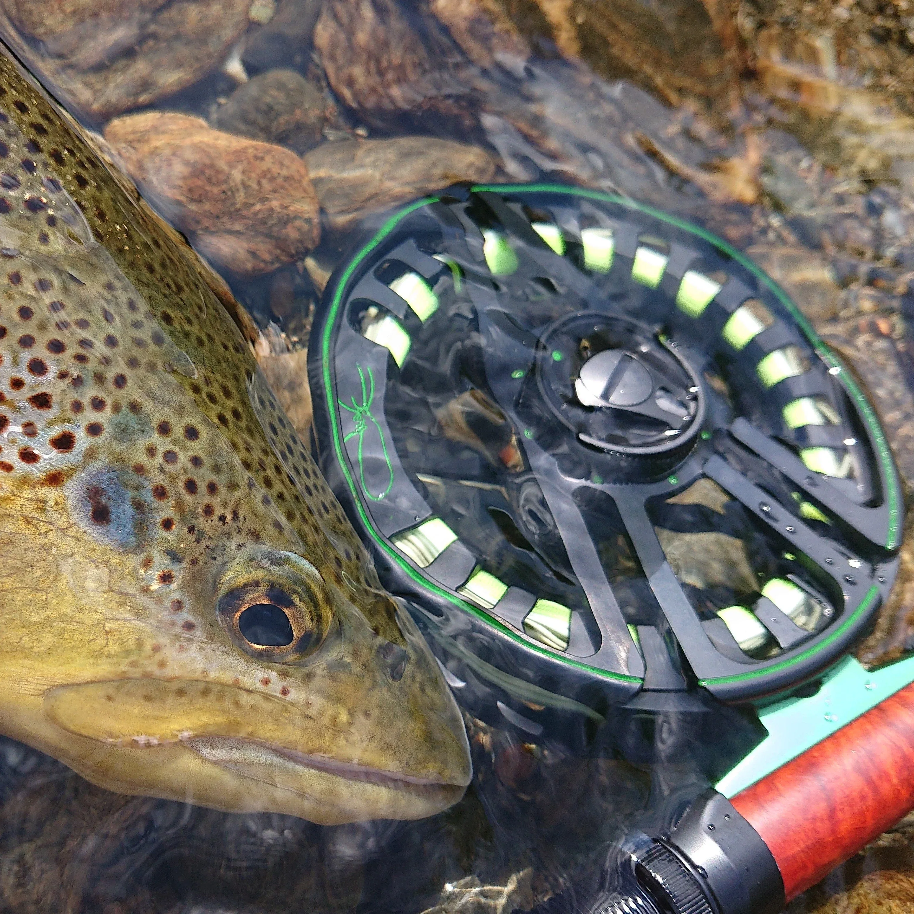 Vision XLV Nymph & Dry flugrulle - Image 15